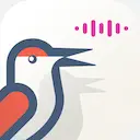 Echo Interview Coach Logo
